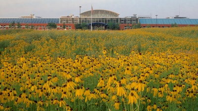 Ein Feld gelber Blumen vor dem MillerKnoll GreenHouse in Holland, Michigan.