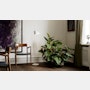 Moller Model 57 Armchair