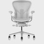 Aeron Chair, Adjustable PostureFit SL