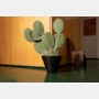 Monstruosus Planter Model Two