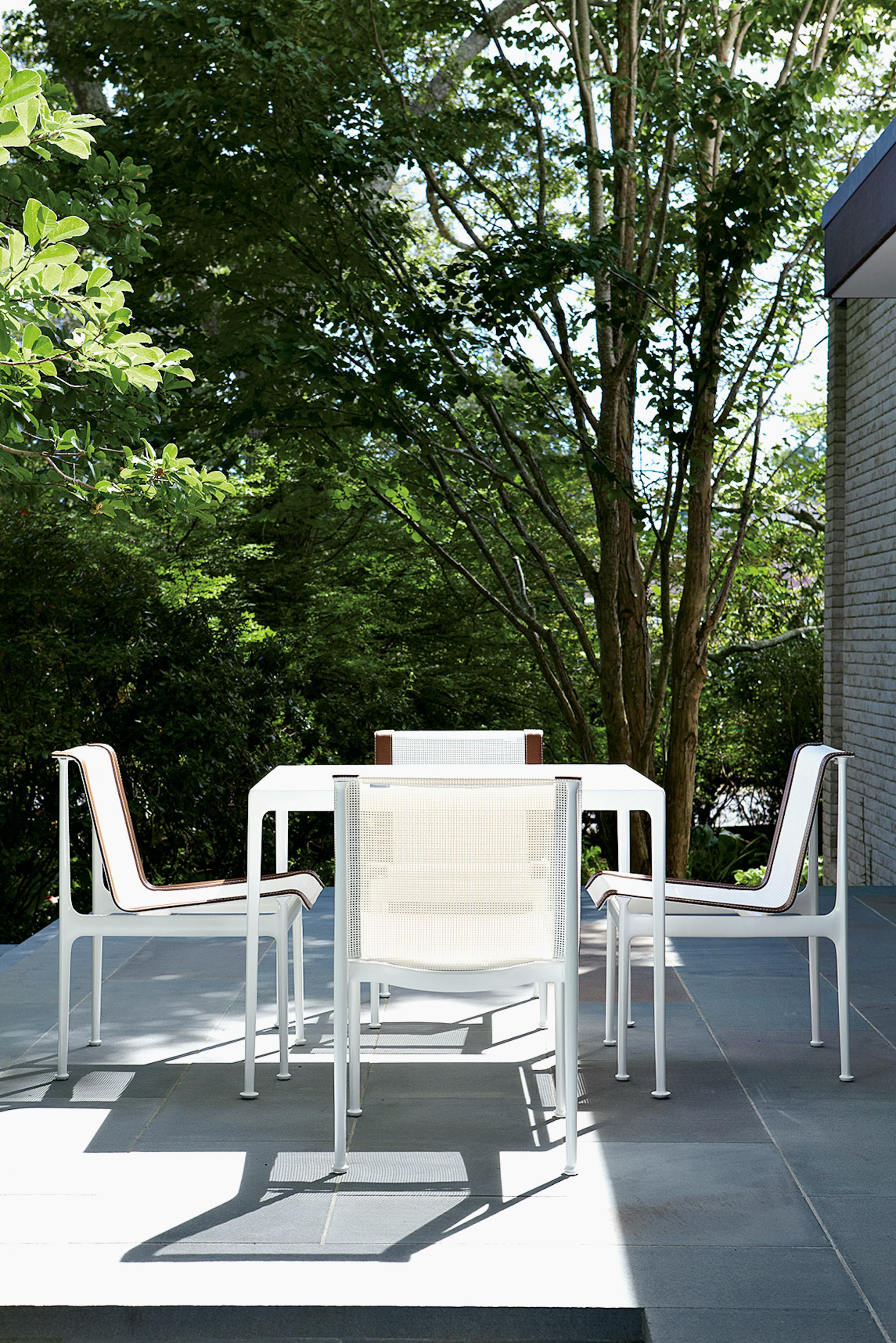 1966 Dining Chair, 1966 Dining Table