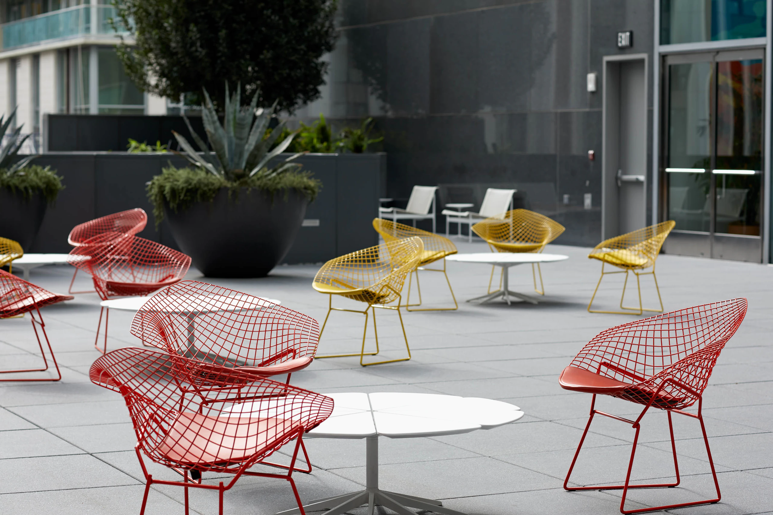 Bertoia Diamond Chair Richard Schultz Petal Coffee Table outdoor community shared spaces