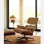 Eames Lounge Chair and Ottoman