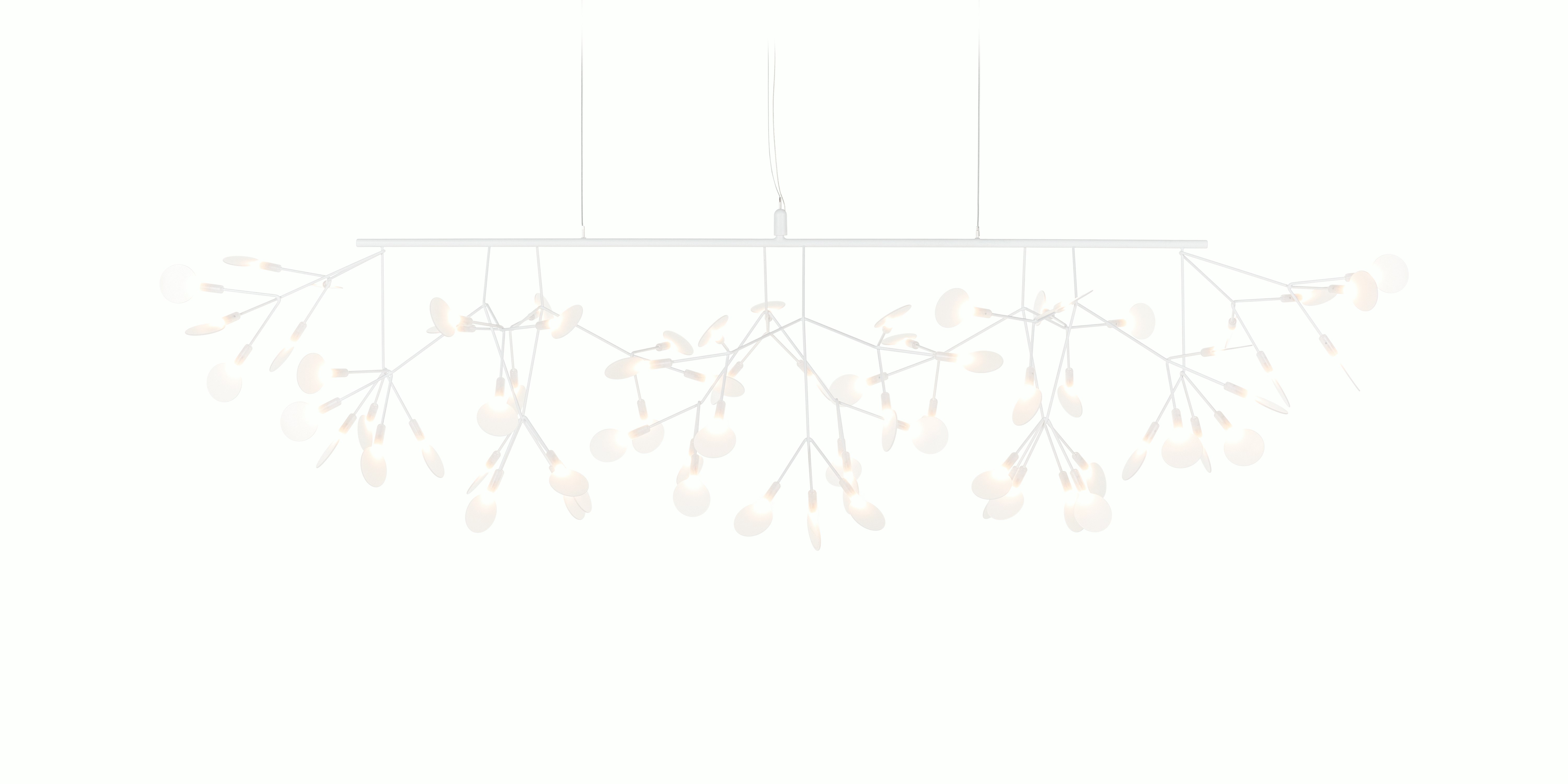 Heracleum Linear III Pendant