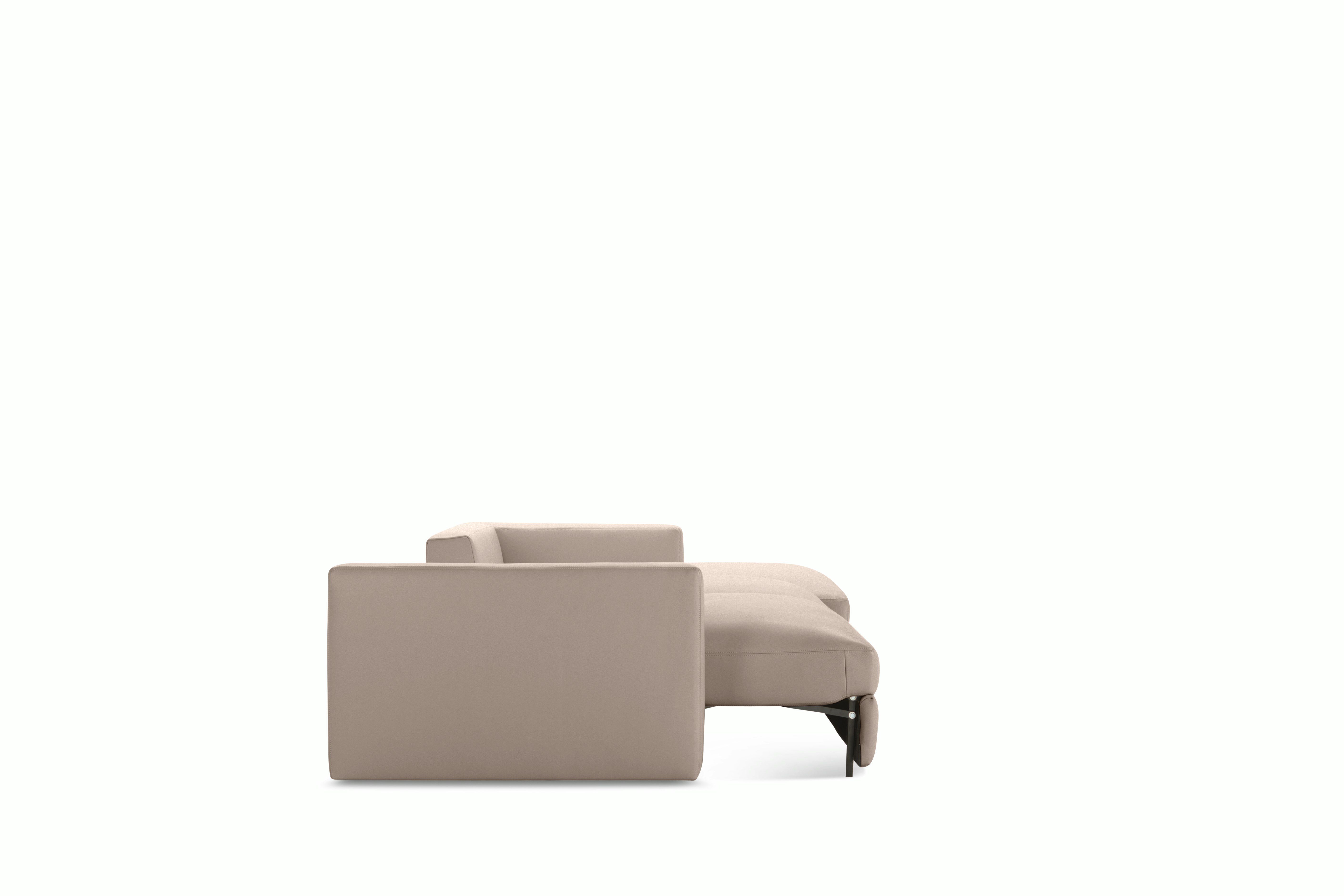 Reid Sleeper Storage Sectional