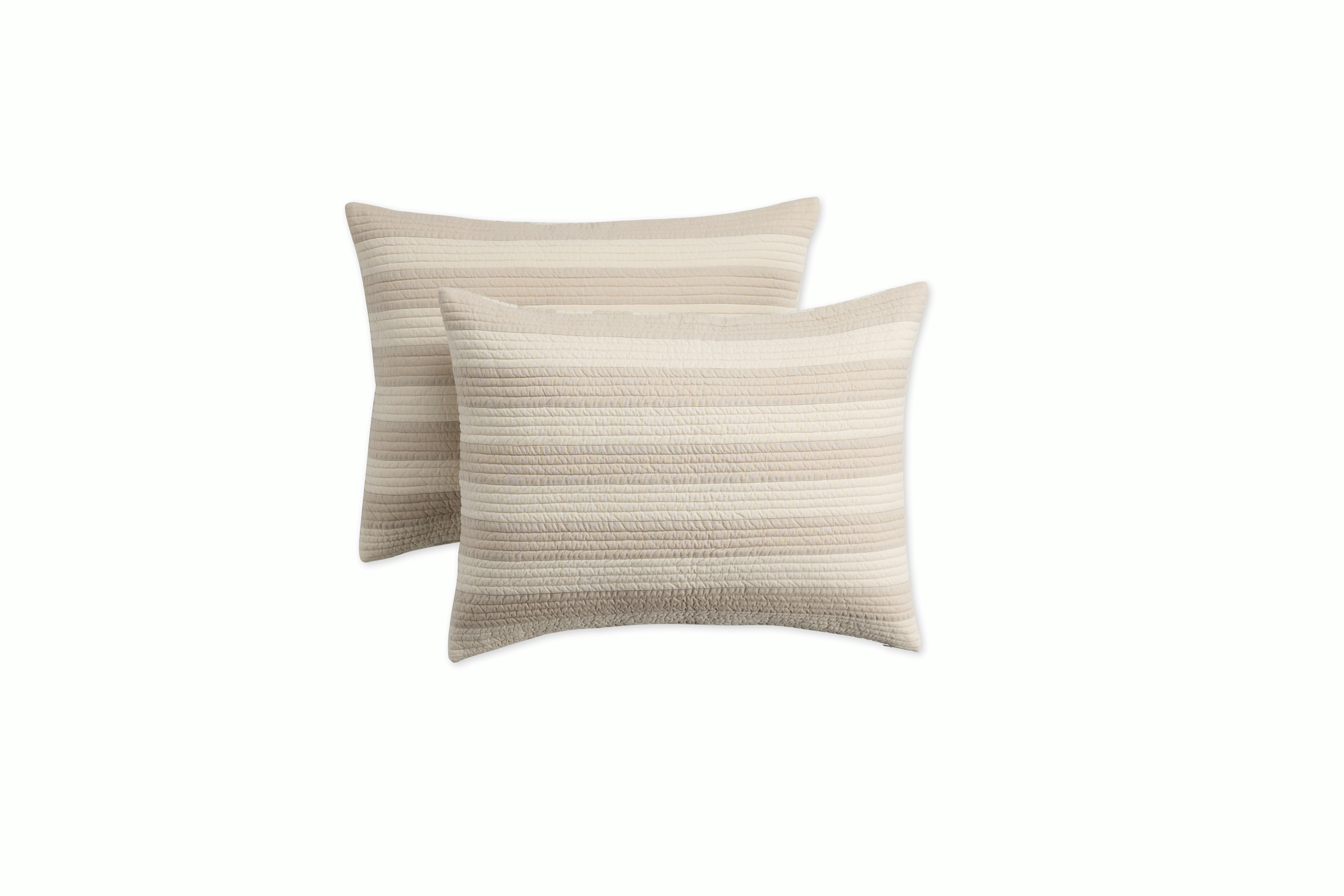 Wiley Shams - Set of 2