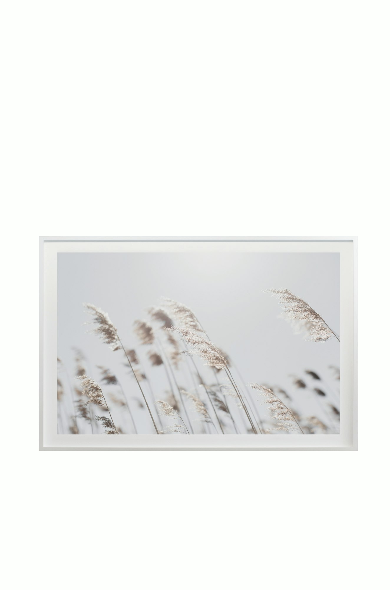 Cas Friese Coastal no.3326