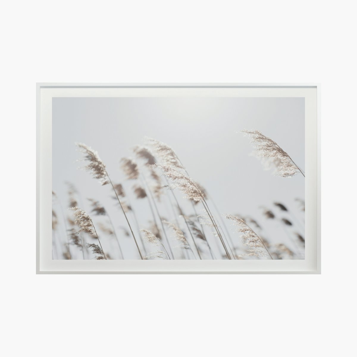 “Coastal No. 3326” by Cas Friese “Coastal No. 3326” by Cas Friese