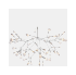 Heracleum Lighting Collection