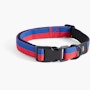 Dog Collar Dog Collar, Small / Medium
