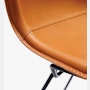 Bertoia Side Chair