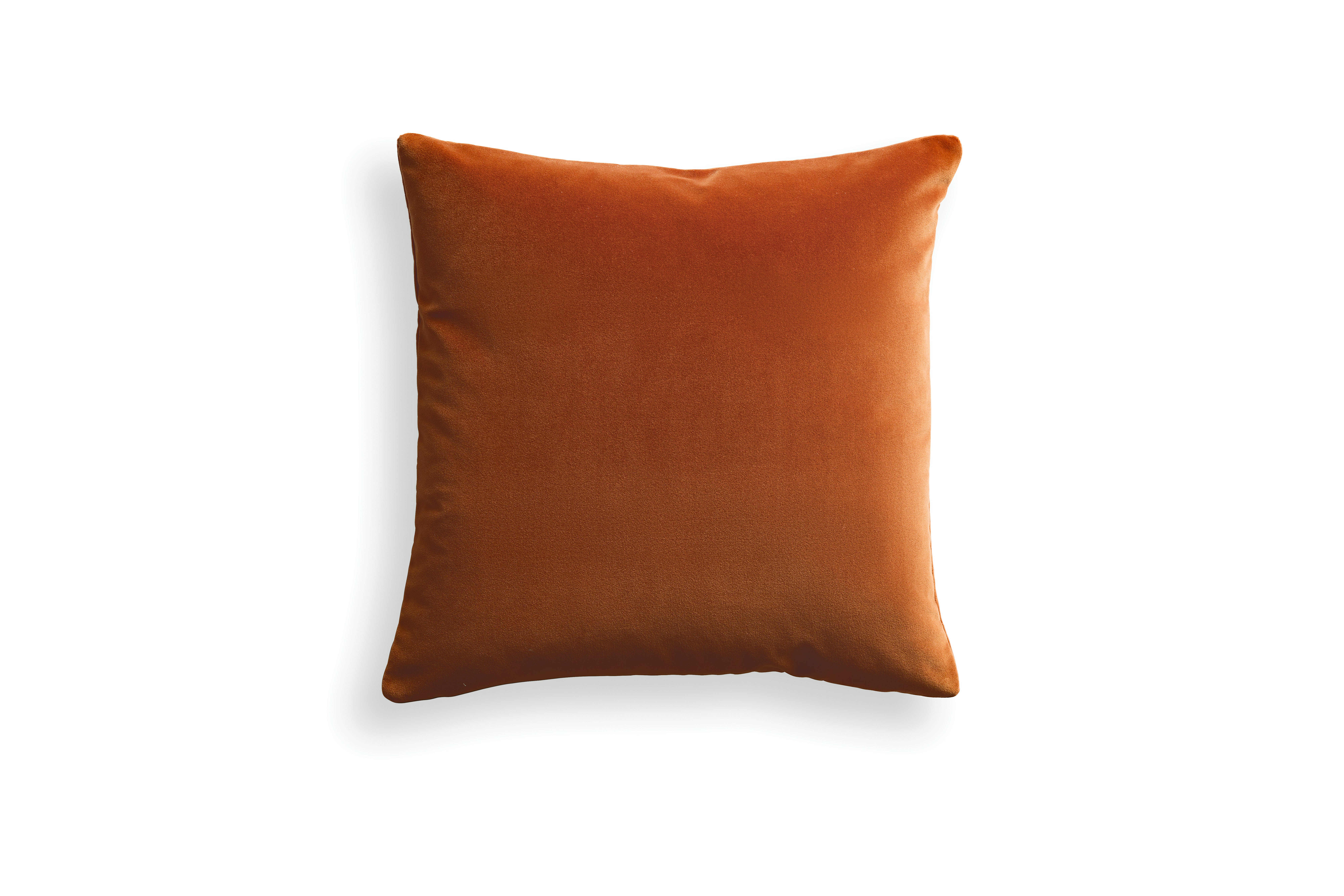 Velvet Pillow