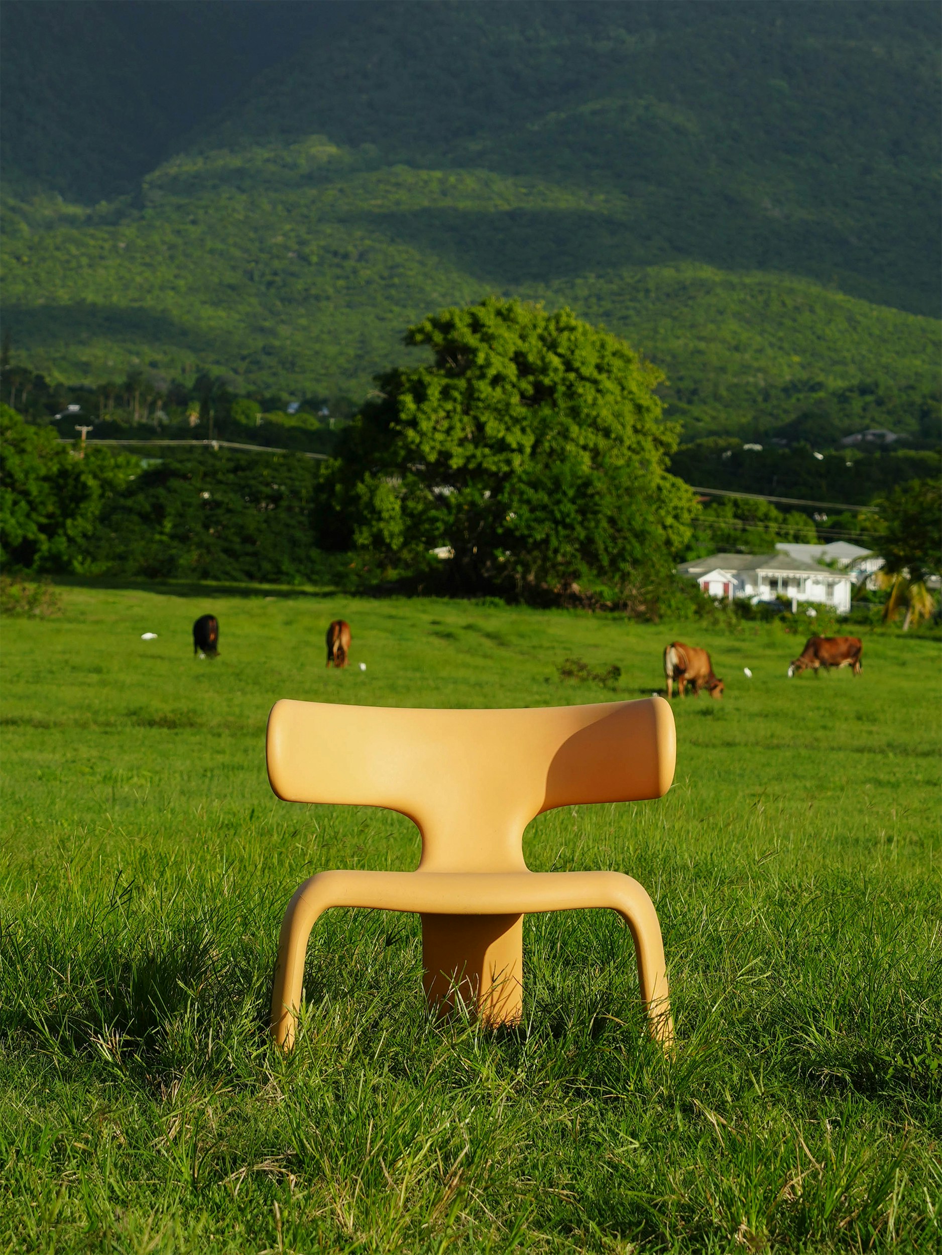 Limbo Chair in an outdoor meadow setting