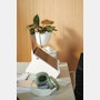 Oripura Laptop Stand