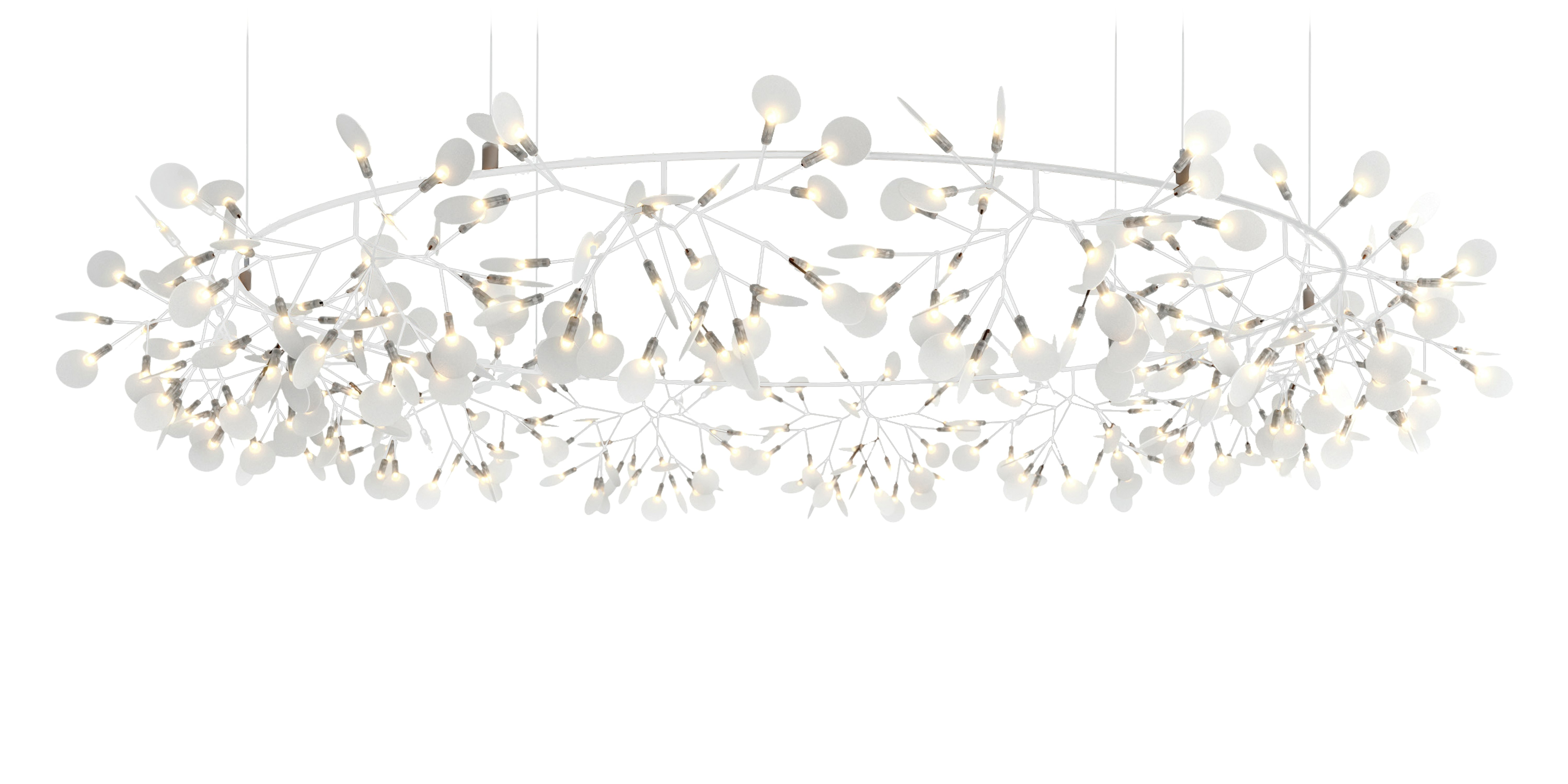 Heracleum The Big O Pendant, Big