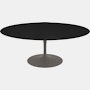 Saarinen Low Oval Coffee Table