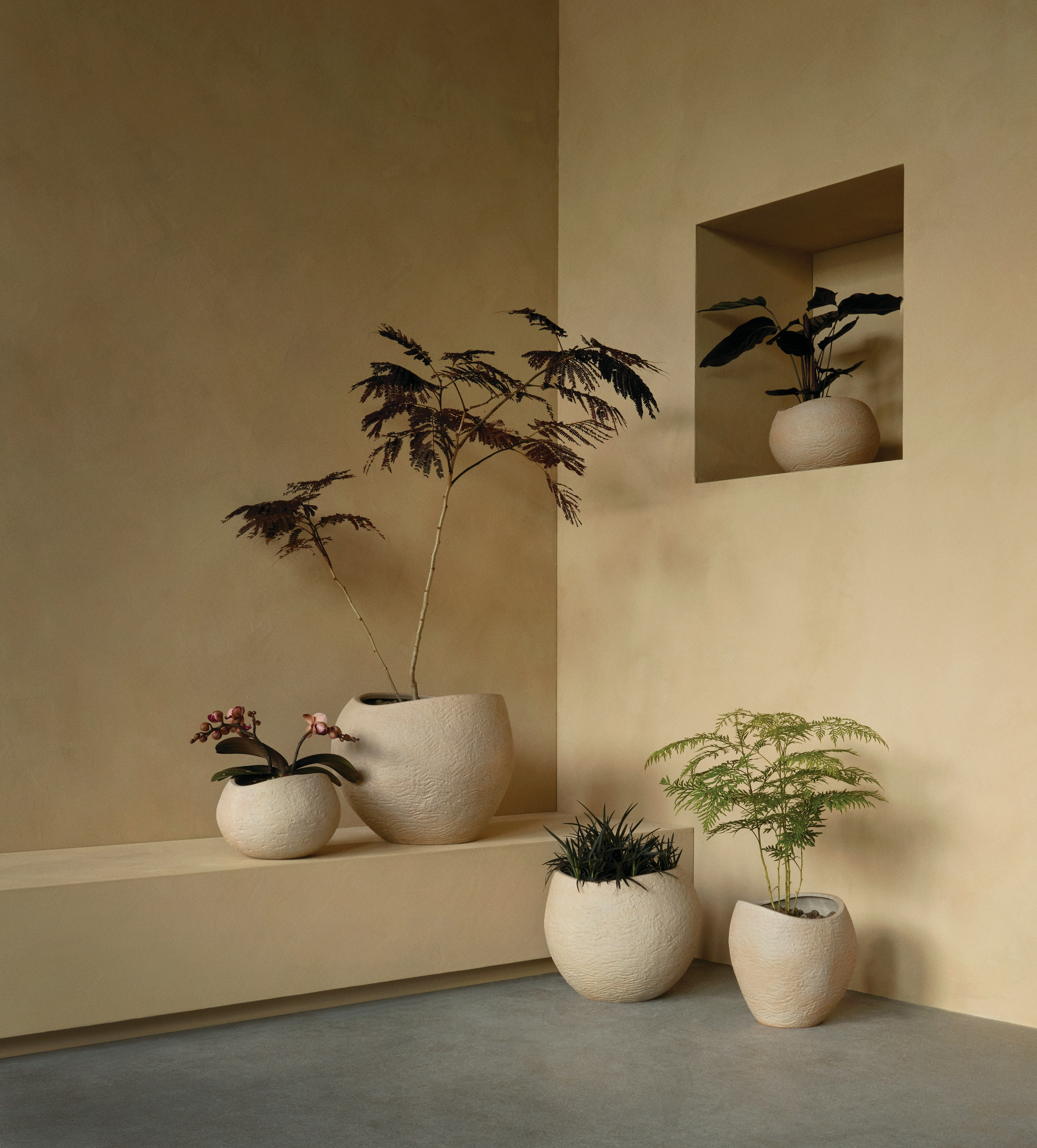 Design Within Reach Plantas Planter
