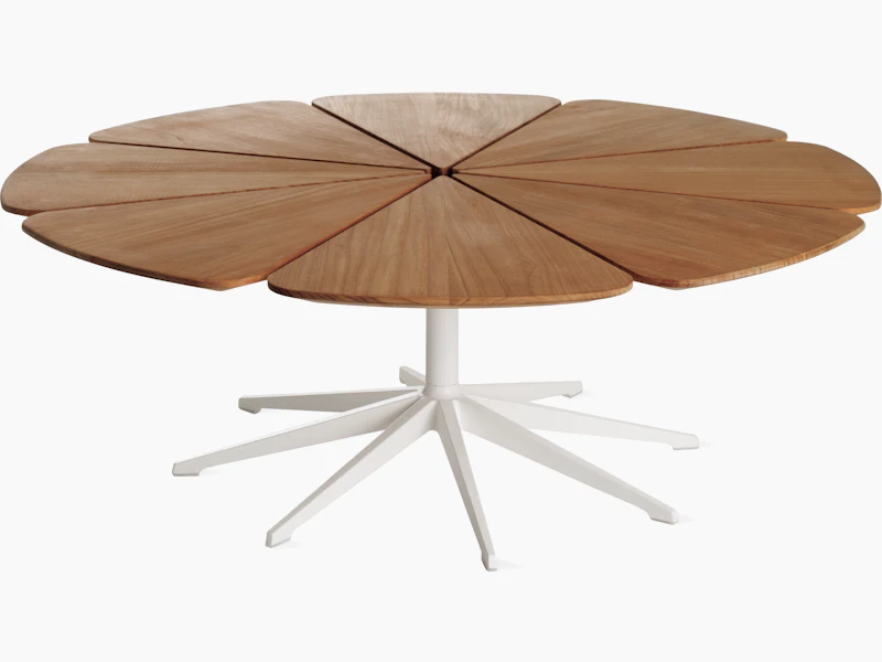 Petal Coffee Table