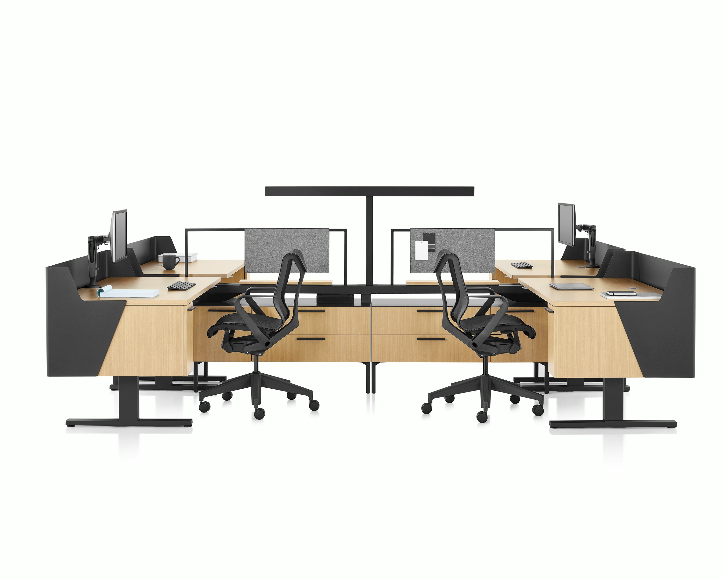 Brown and black Canvas Vista workstations with Motia sit-to-stand desks, modesty and privacy screens, t-shaped light and black Cosm chairs.