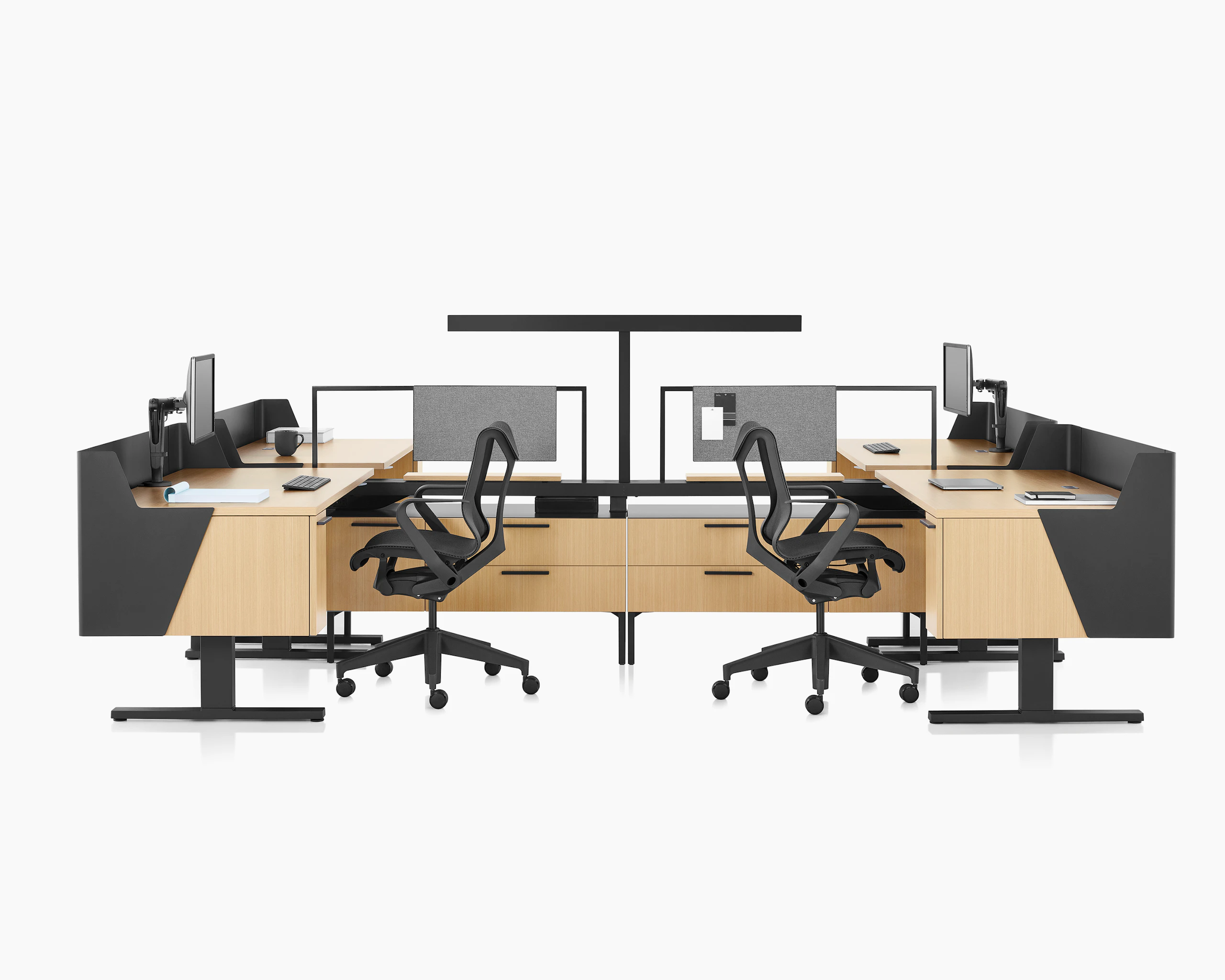 Brown and black Canvas Vista workstations with Motia sit-to-stand desks, modesty and privacy screens, t-shaped light and black Cosm chairs.