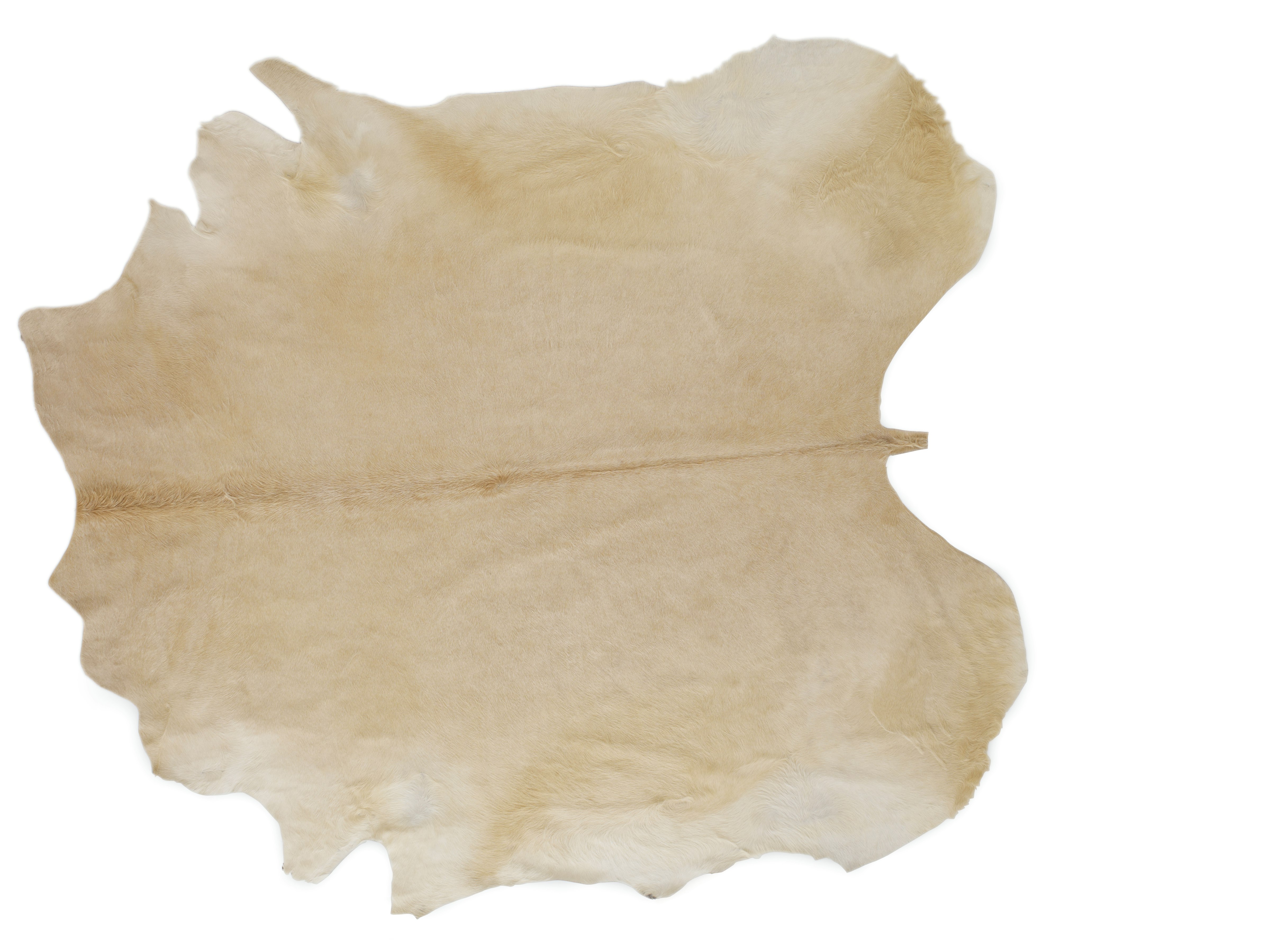Cowhide Rug