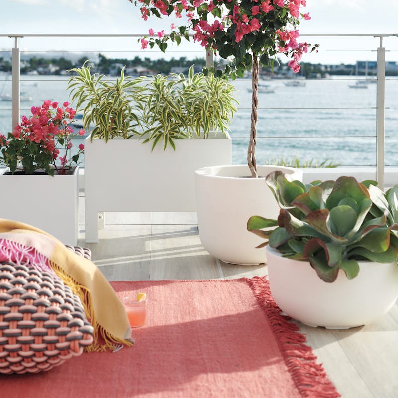 Outdoor Pillows, Loll Planters - Elevated and Cube 
