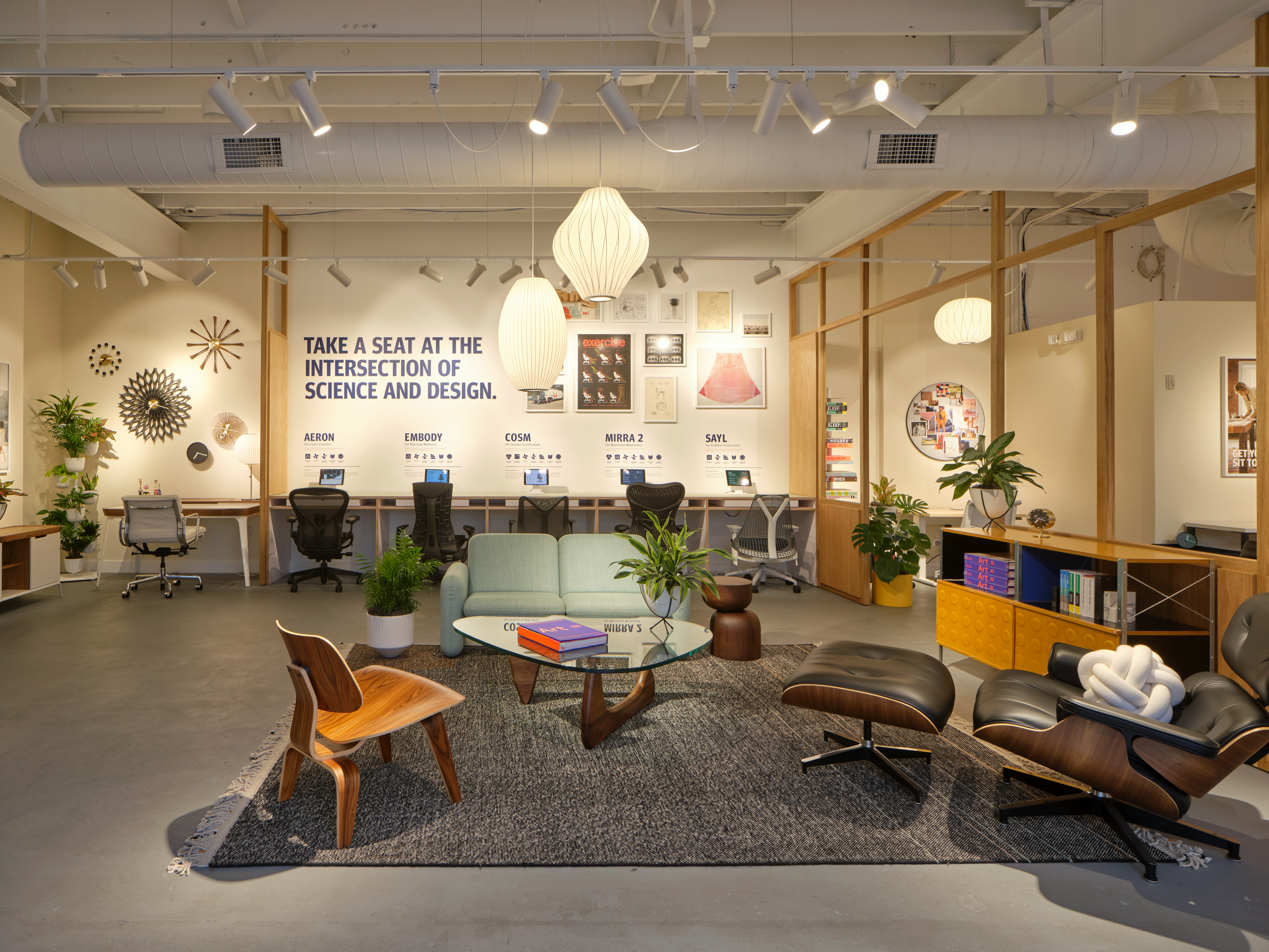 Herman Miller Austin Lamar