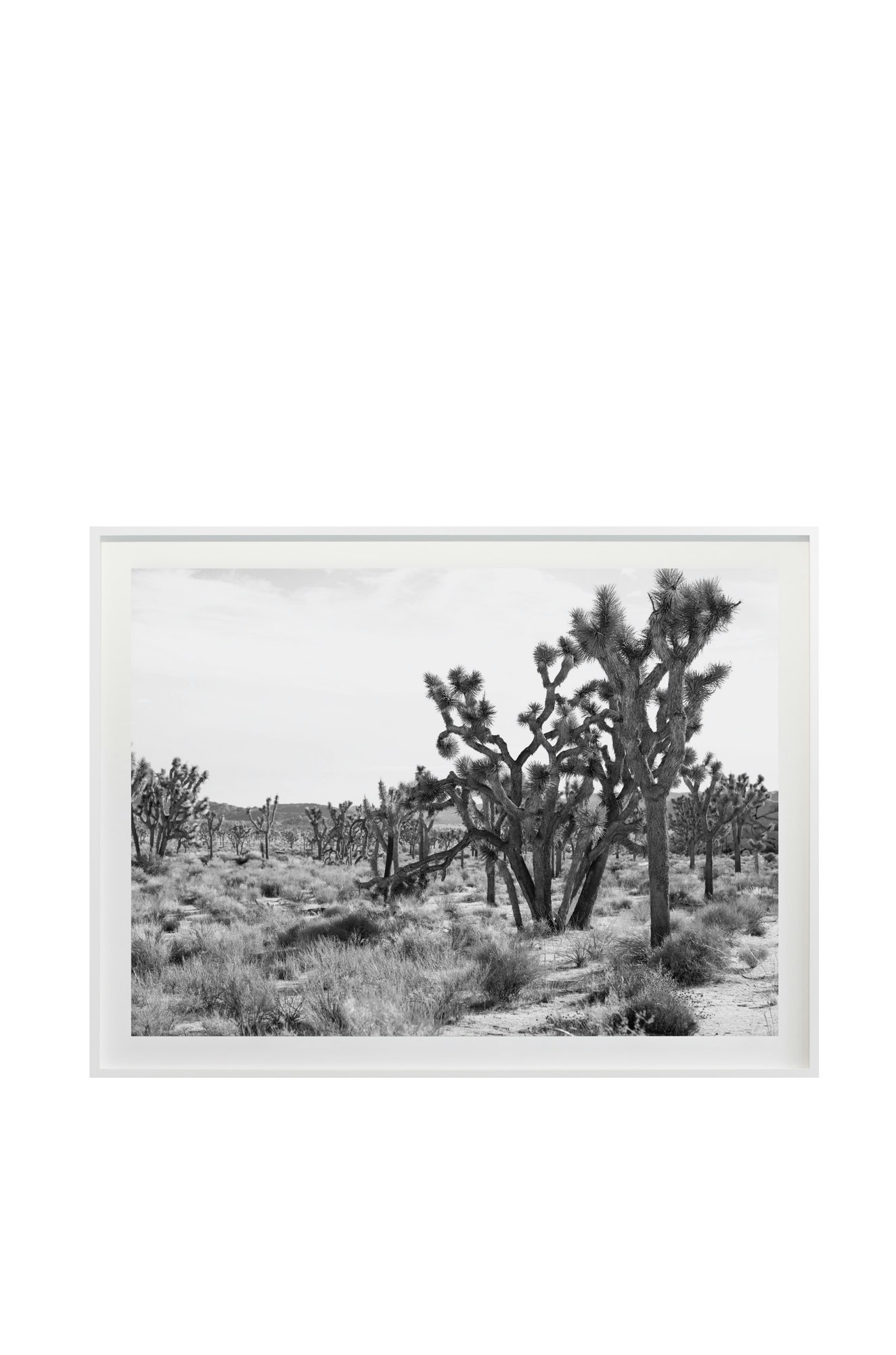 Jagged No. 3645 by Cas Friese