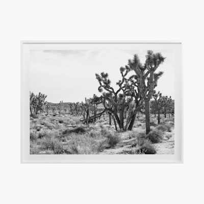 Jagged No. 3645 by Cas Friese,  30 x 40,  White Frame