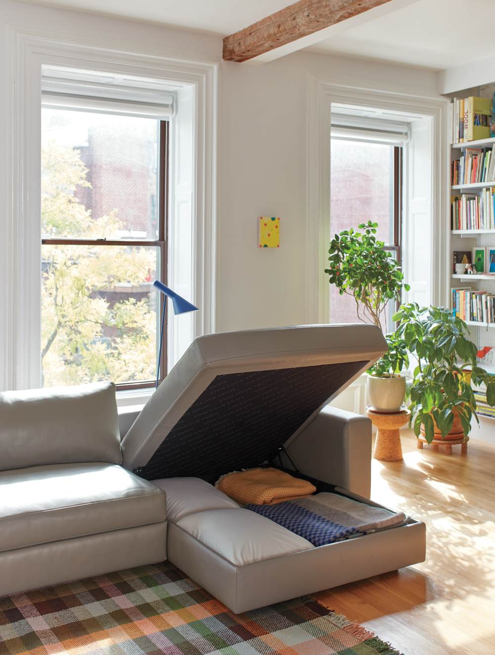 Reid Sleeper Storage Sectional