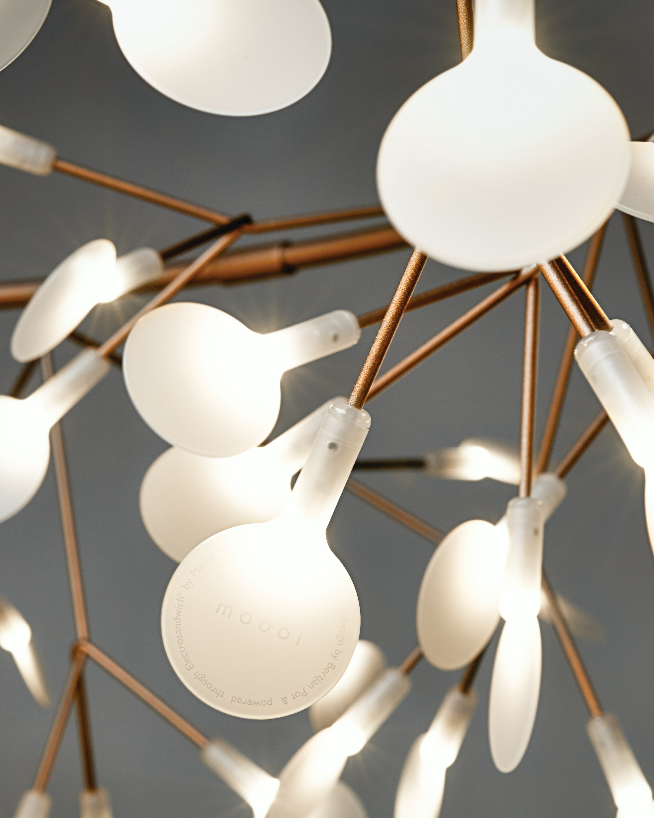 Heracleum Linear III Pendant
