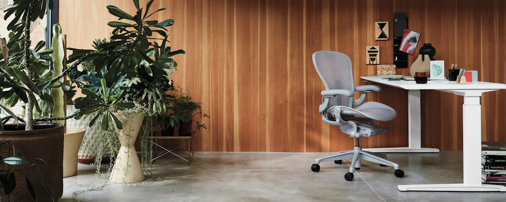 Renew Sit-To-Stand Desk with Aeron Chair