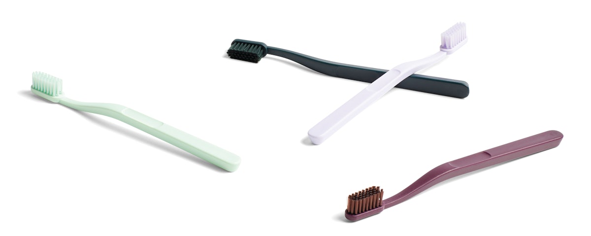 Tann Toothbrush Outlet
