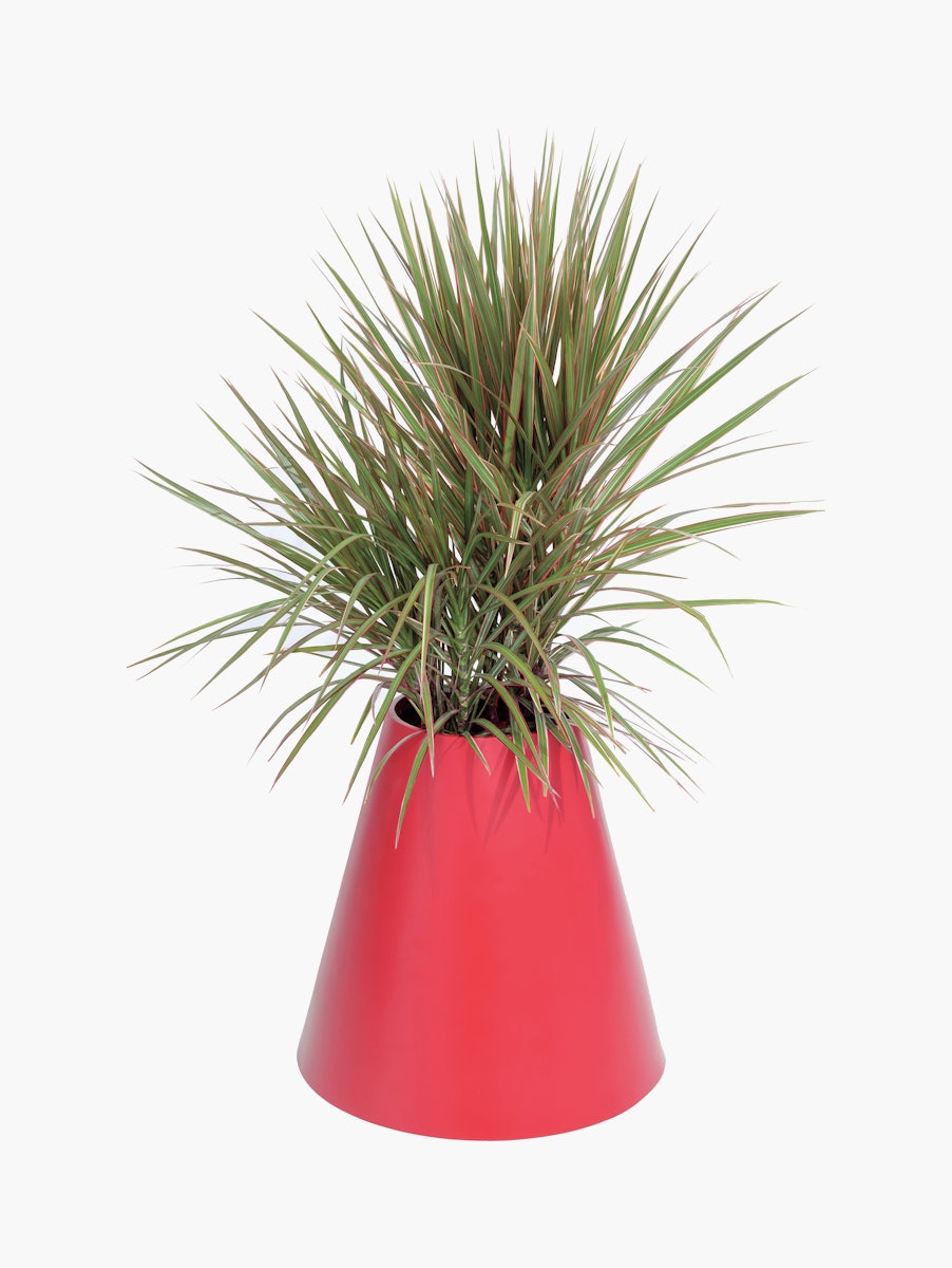 Cone Planter