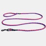 Dog Leash,  Braided