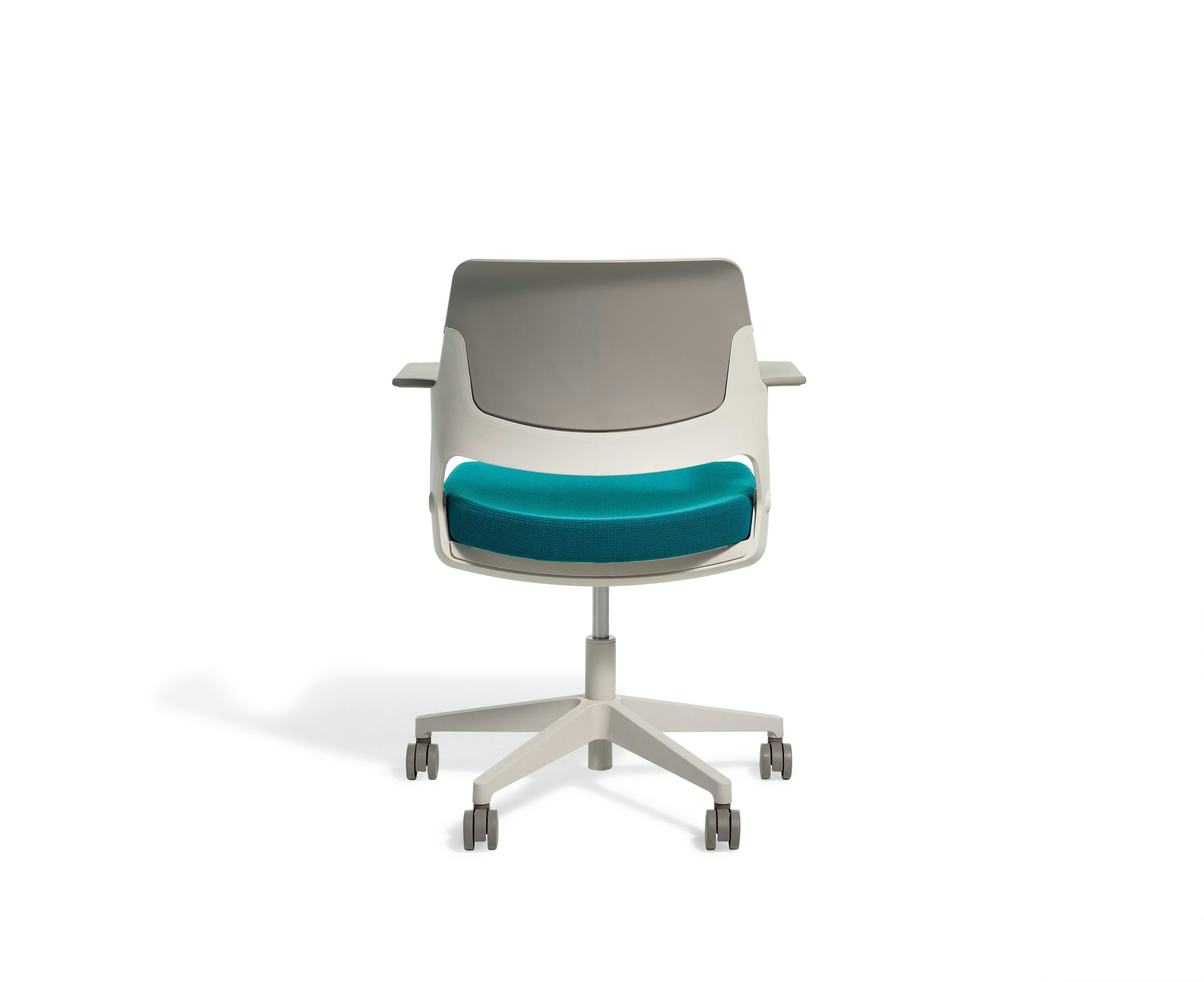 Ollo with Shell Back | Knoll