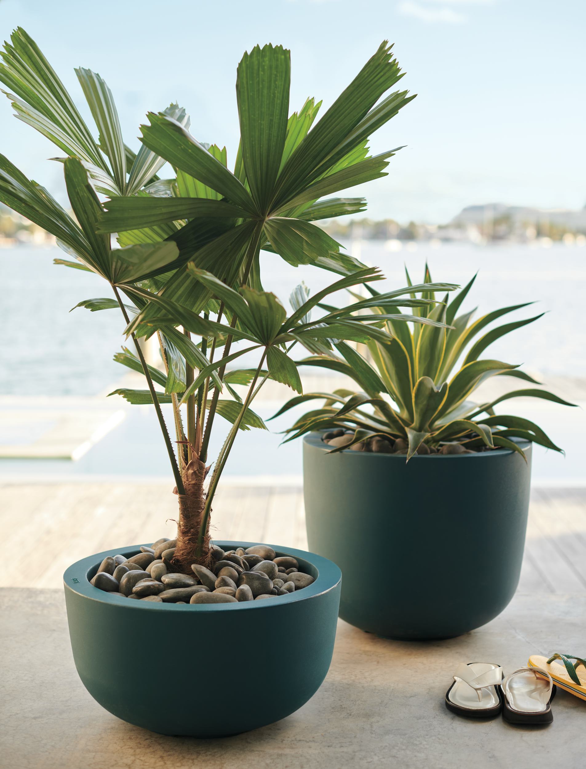 Edna Home Hanging Cup Holders, Plant Containers