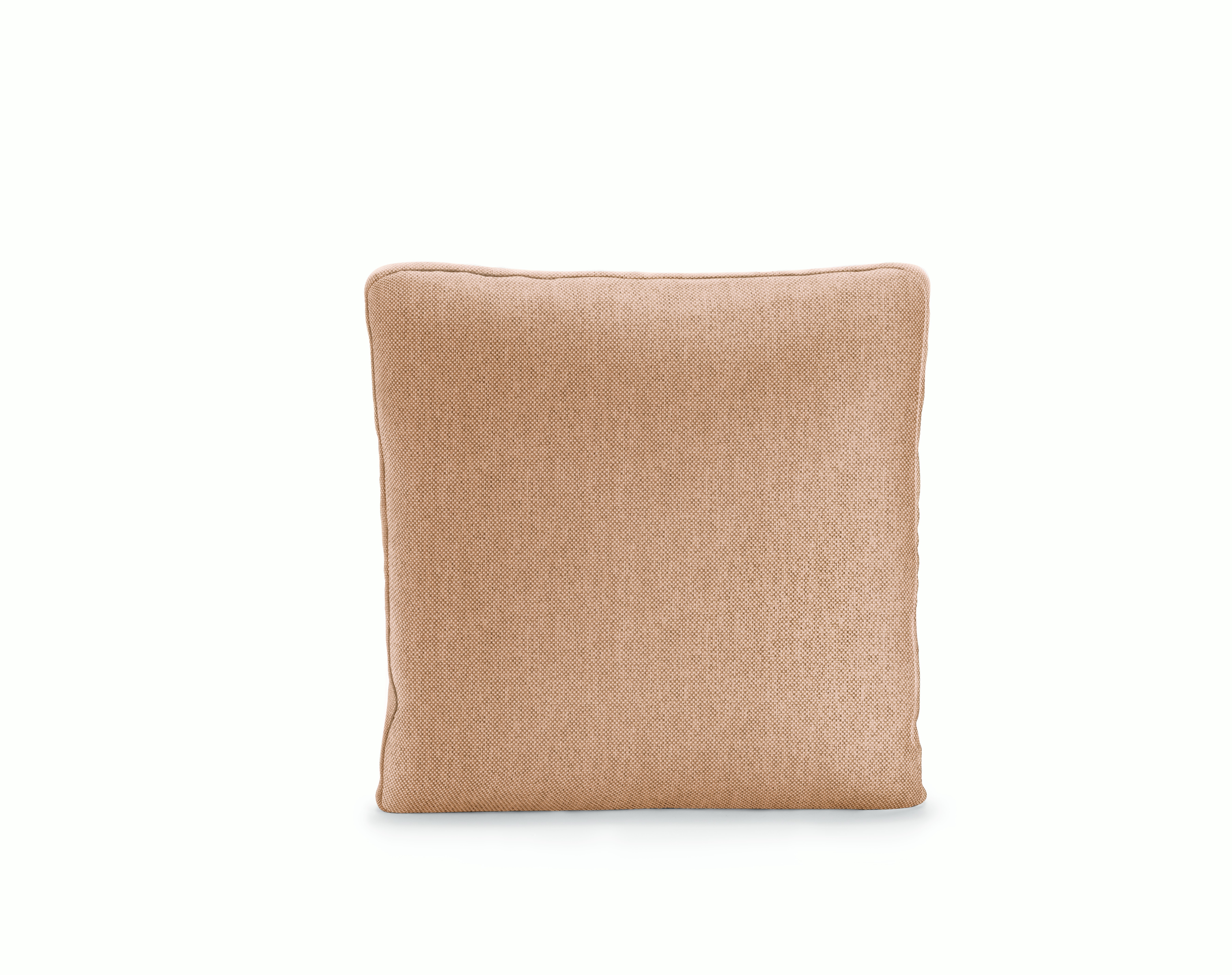 Reid Throw Pillow