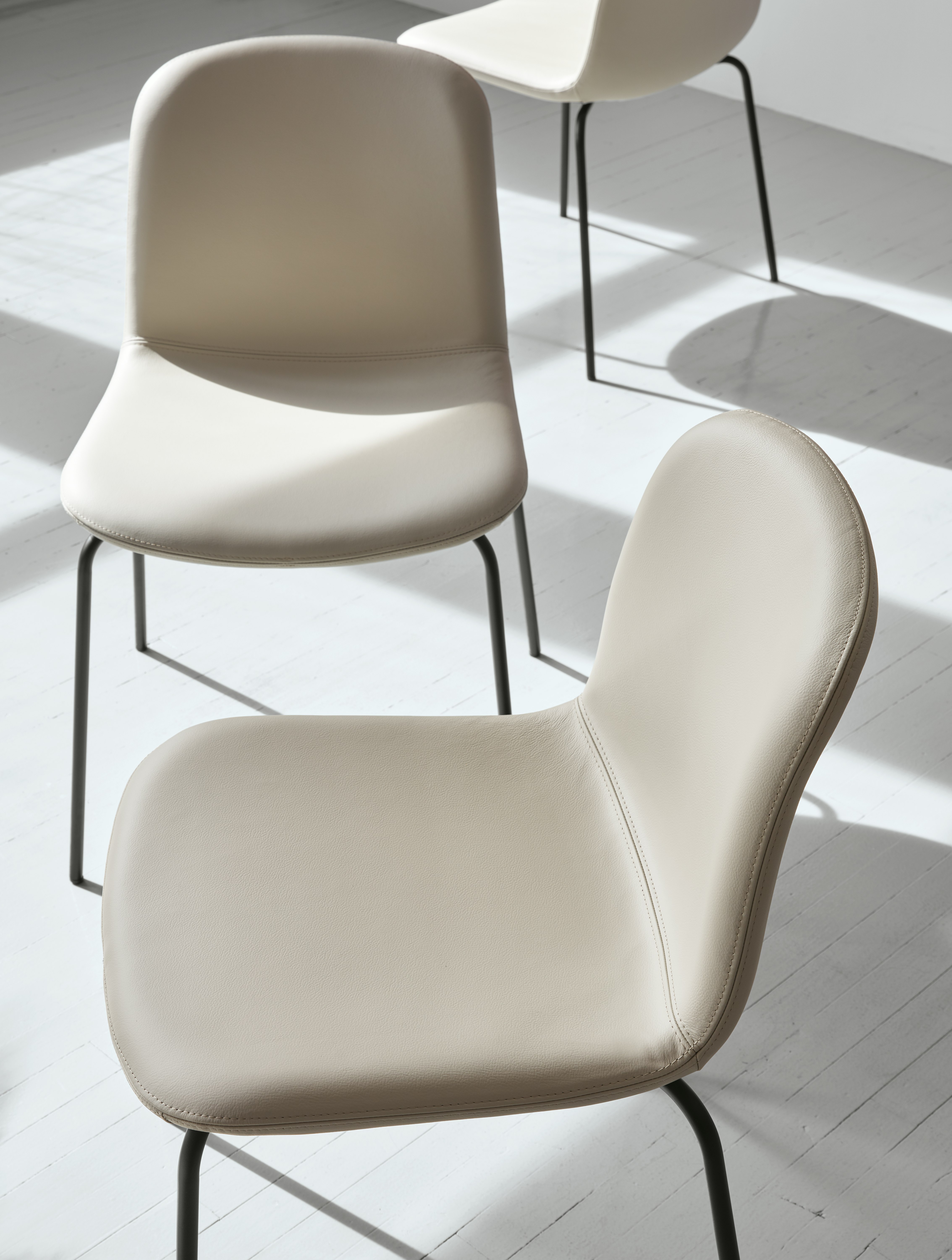 Bacco Chair