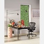 Aeron Chair