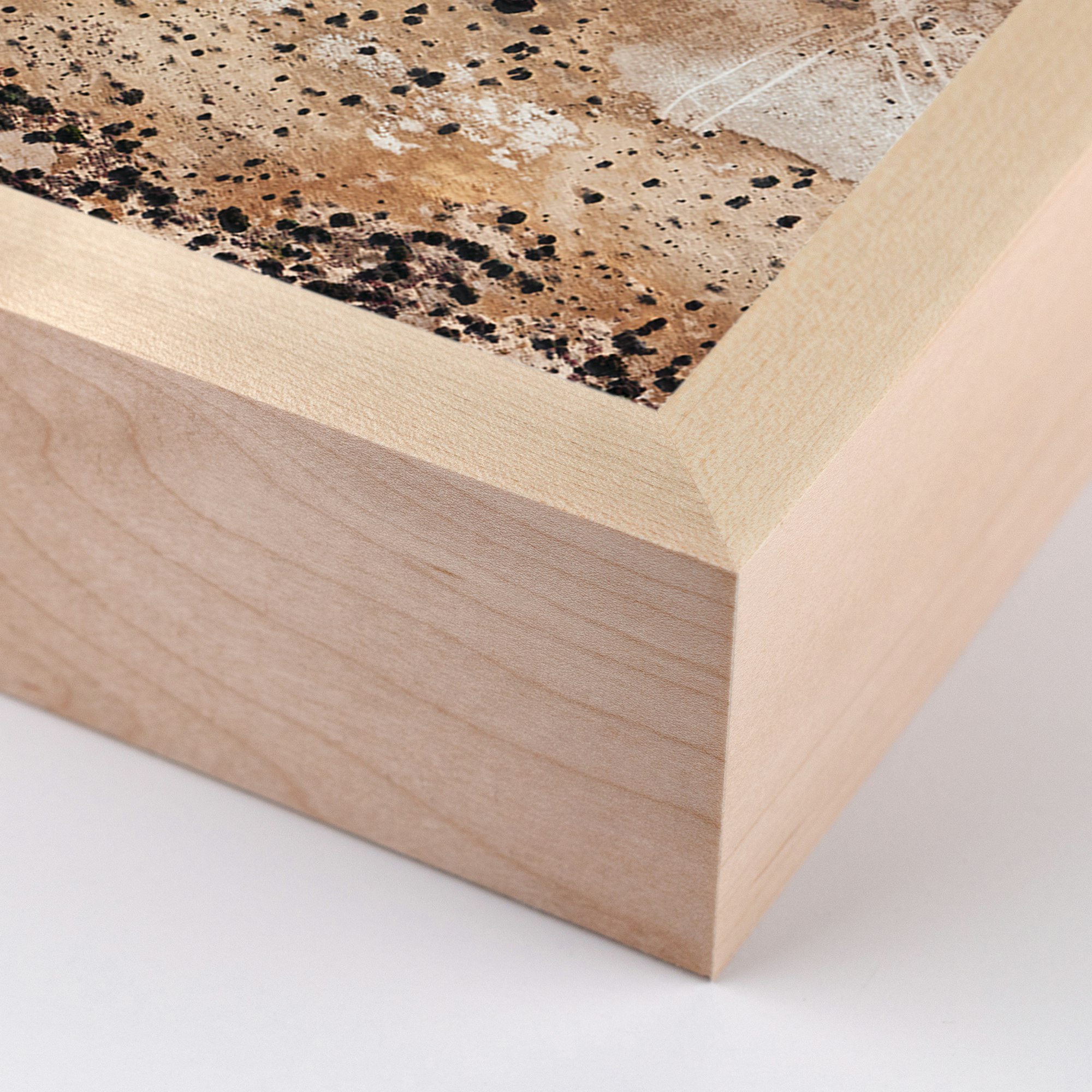 Lake Tyrrell II by Brooke Holm