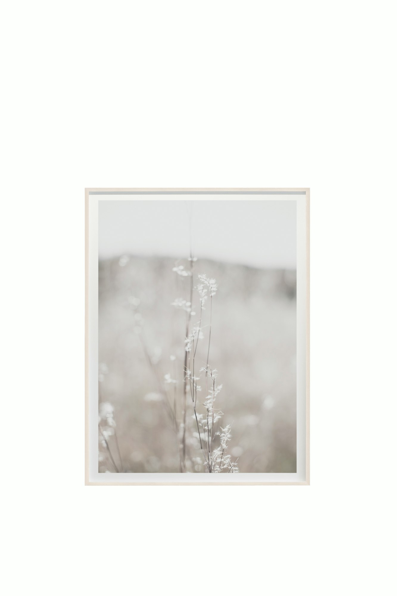 Fields and Flora No. 5450 by Cas Friese - 54x72