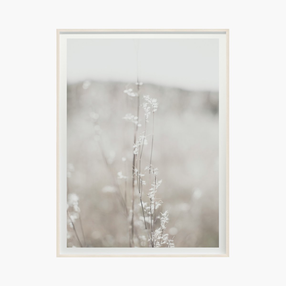 “Fields + Flora No. 5450” by Cas Friese