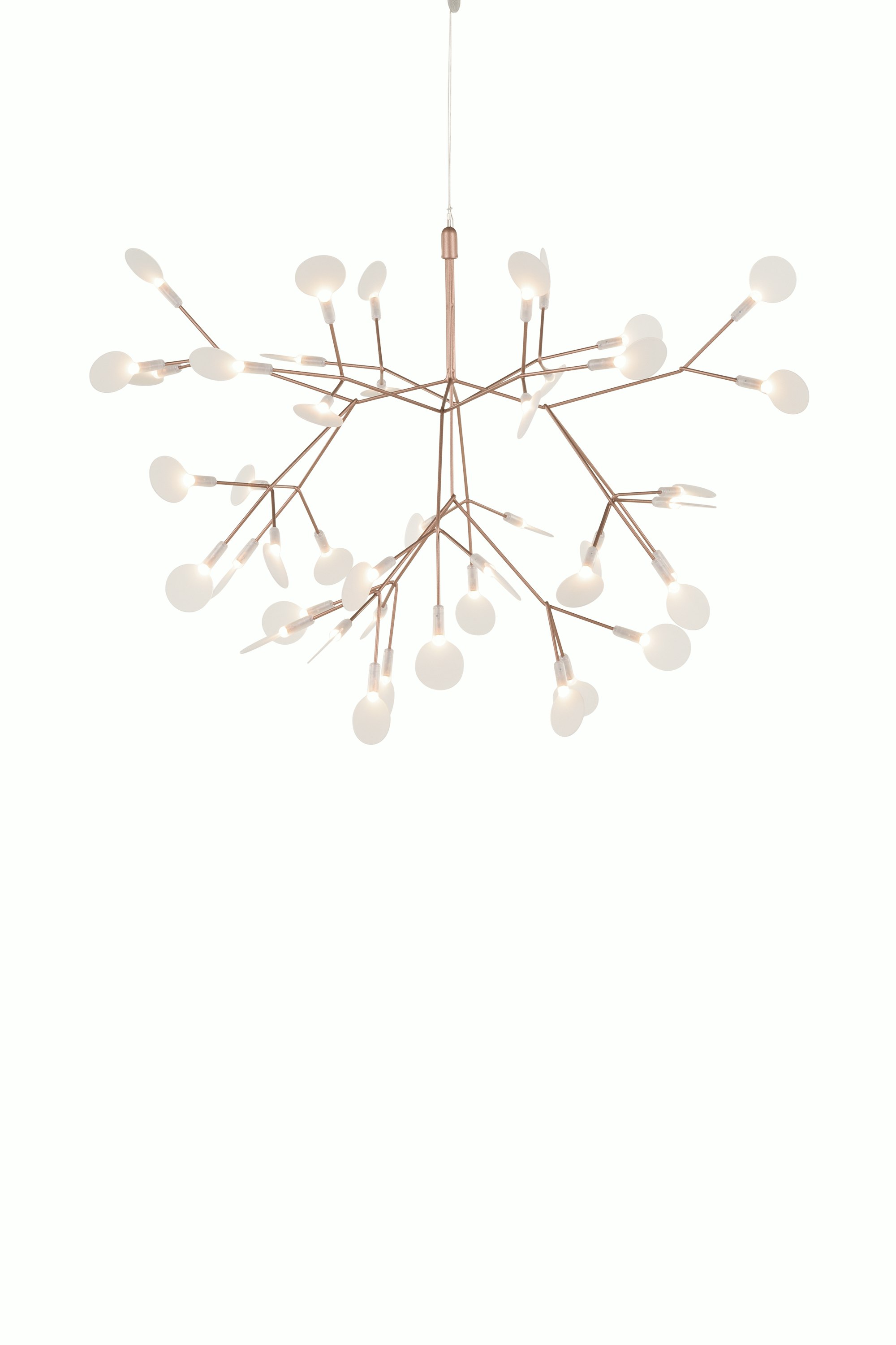 Heracleum III Pendant