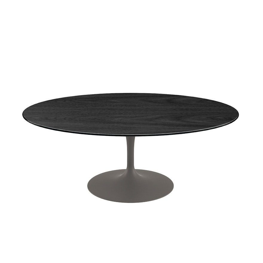 Saarinen Low Oval Coffee Table
