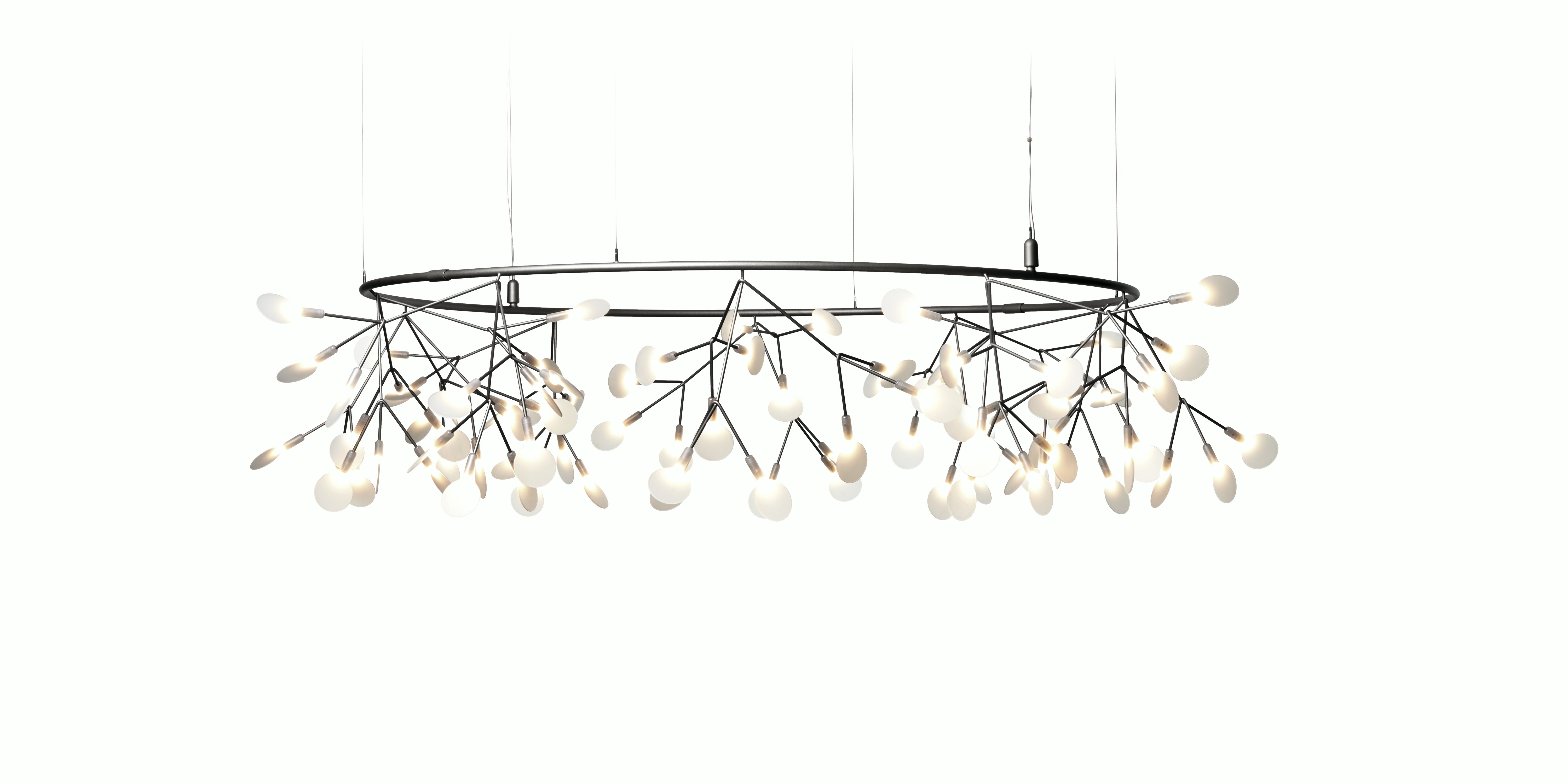 Heracleum III The Big O Pendant