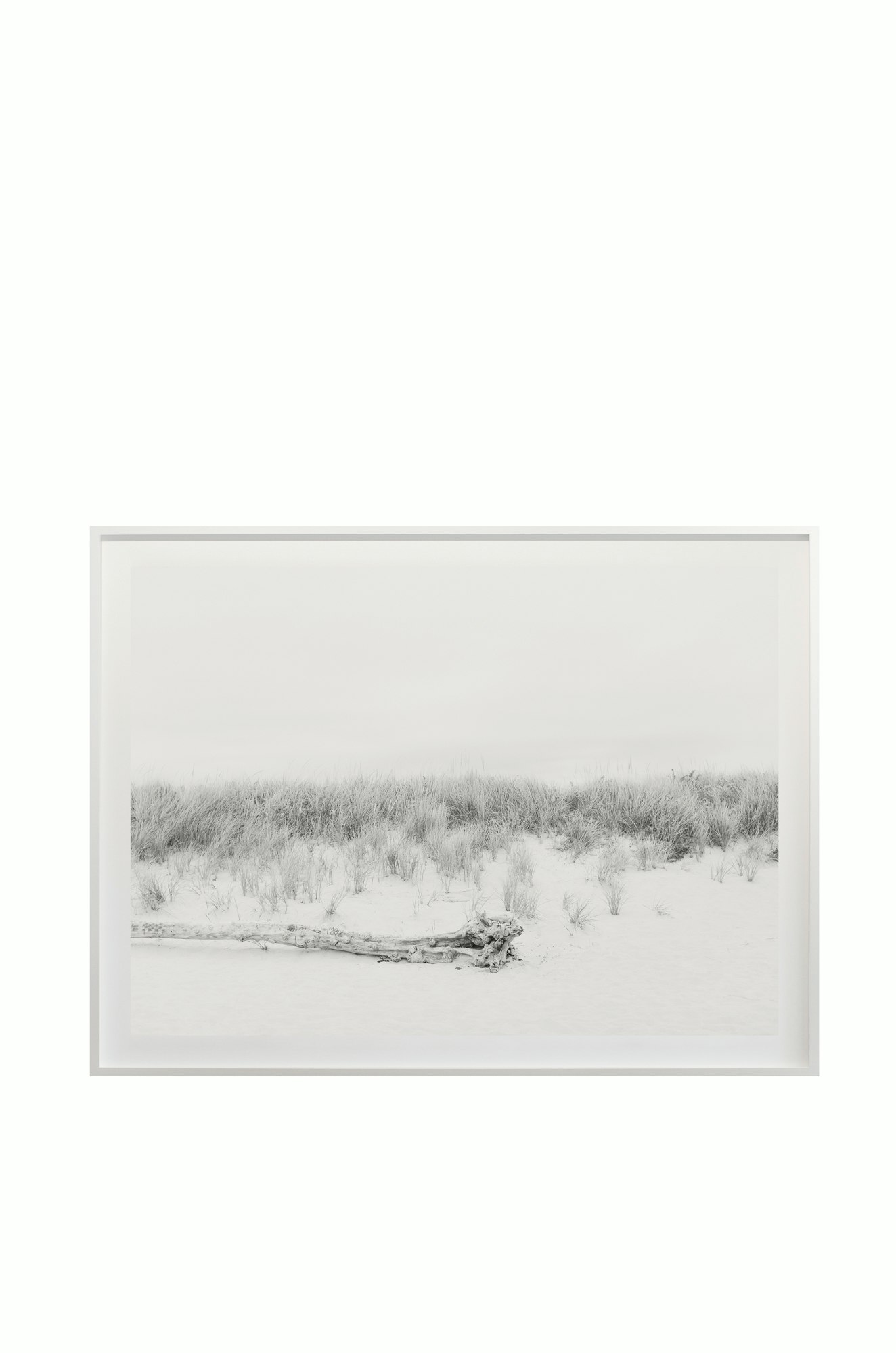 Cas Friese Dunes no.1420