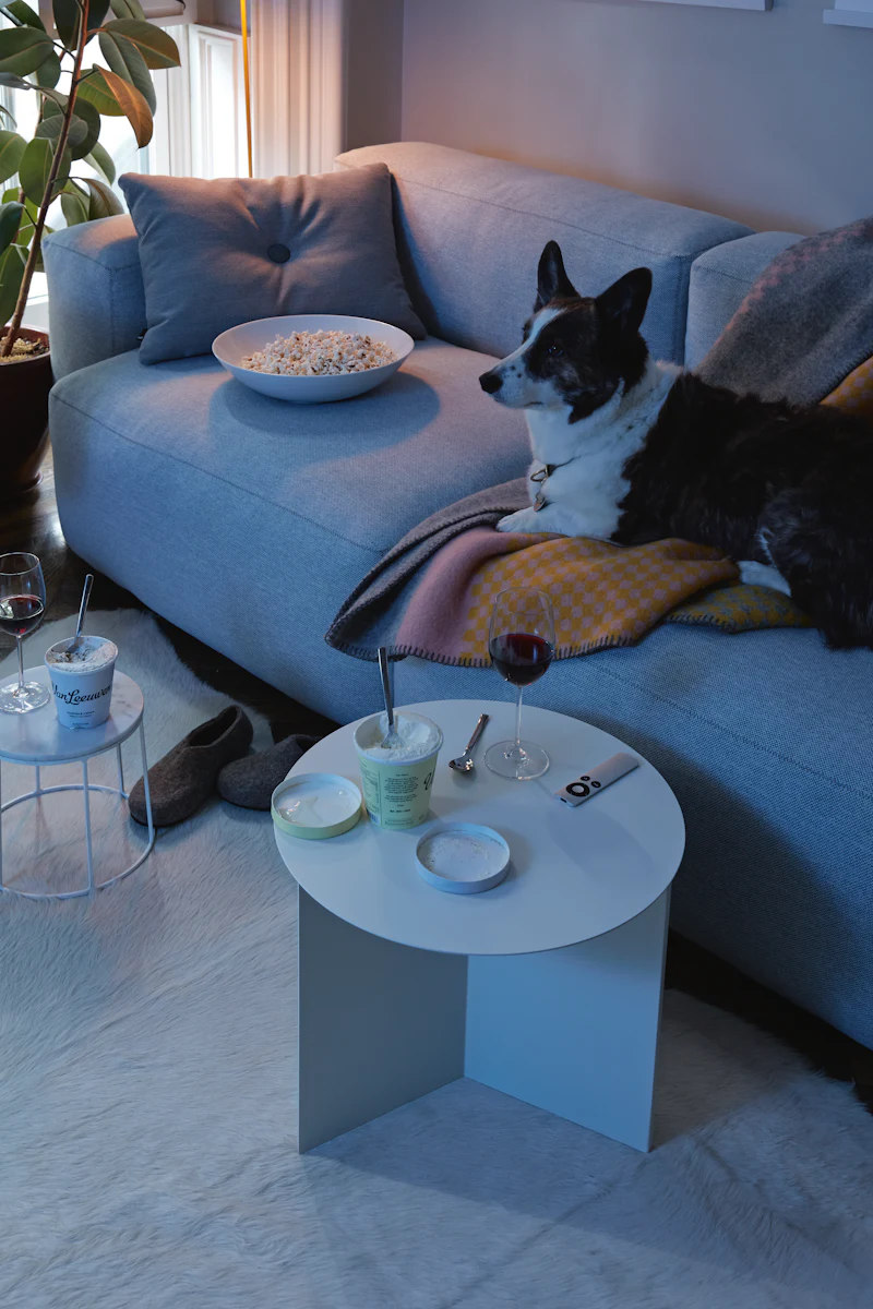 Blue-toned living room with sofa, colorful wall art, and coffee tables