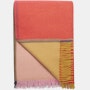 Color Block Throw