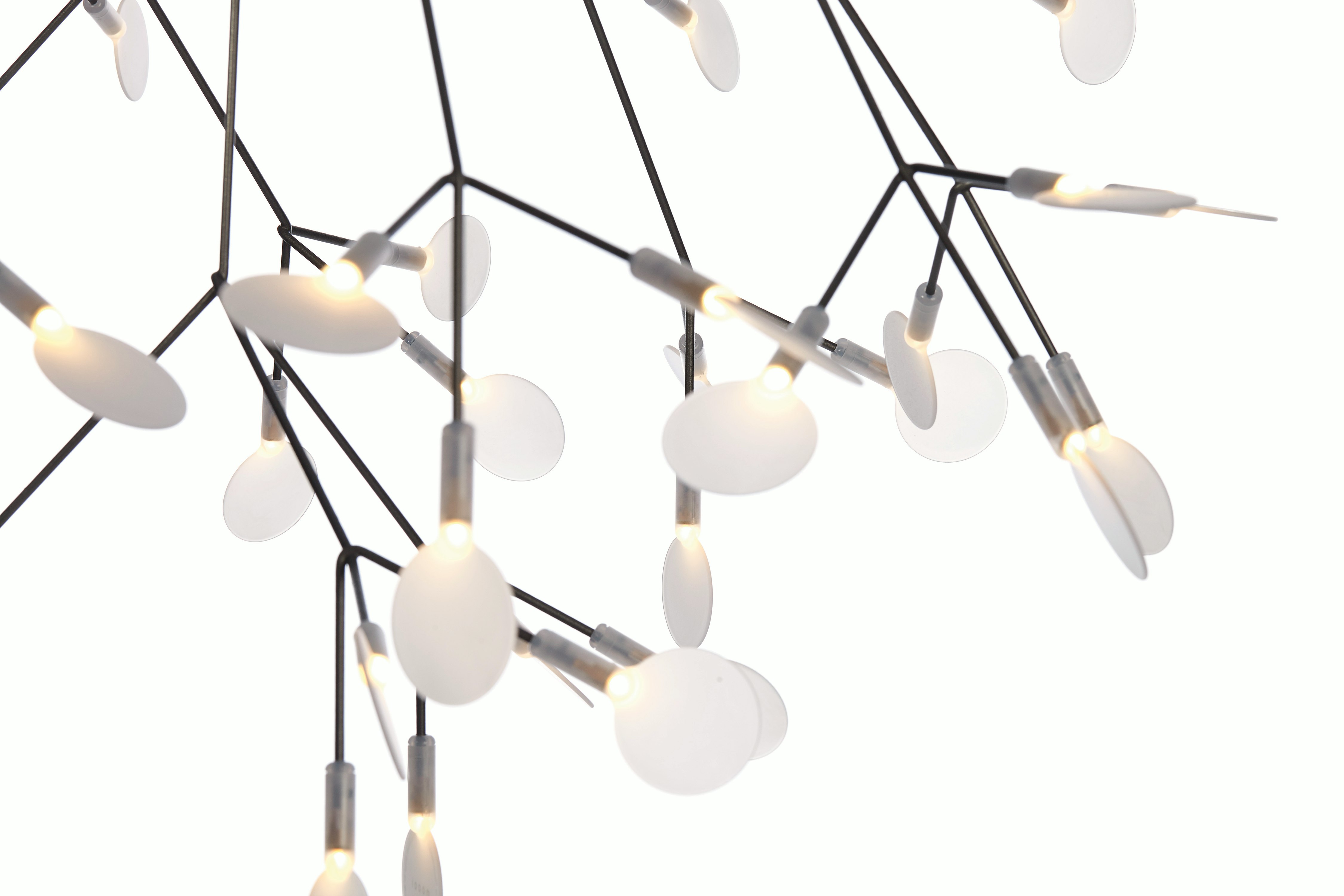 Heracleum II Pendant